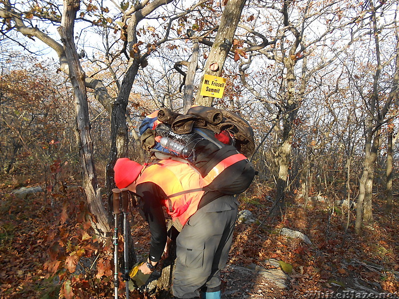 The Mt. Alander, S.Taconic and Frissel Trails (NY,MA,CT) with Another Kevin, Snacktime and Teacher  