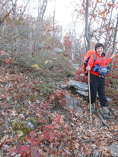 The Mt. Alander, S.Taconic and Frissel Trails (NY,MA,CT) with Another Kevin, Snacktime and Teacher  