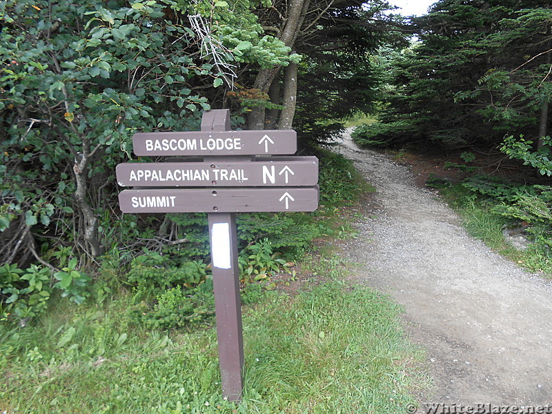 Mt. Greylock  July 2013