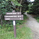 Mt. Greylock  July 2013