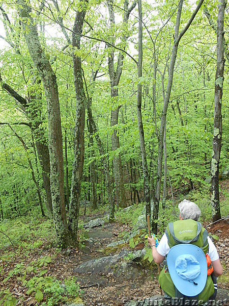 Connecticut:  NY Border to Kent  May 2013