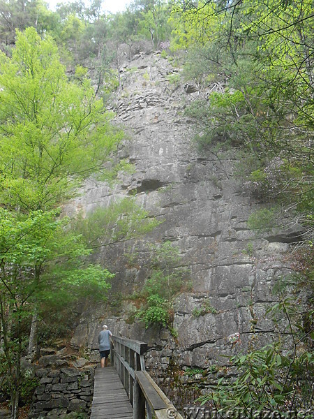 Laurel Falls - May 2014