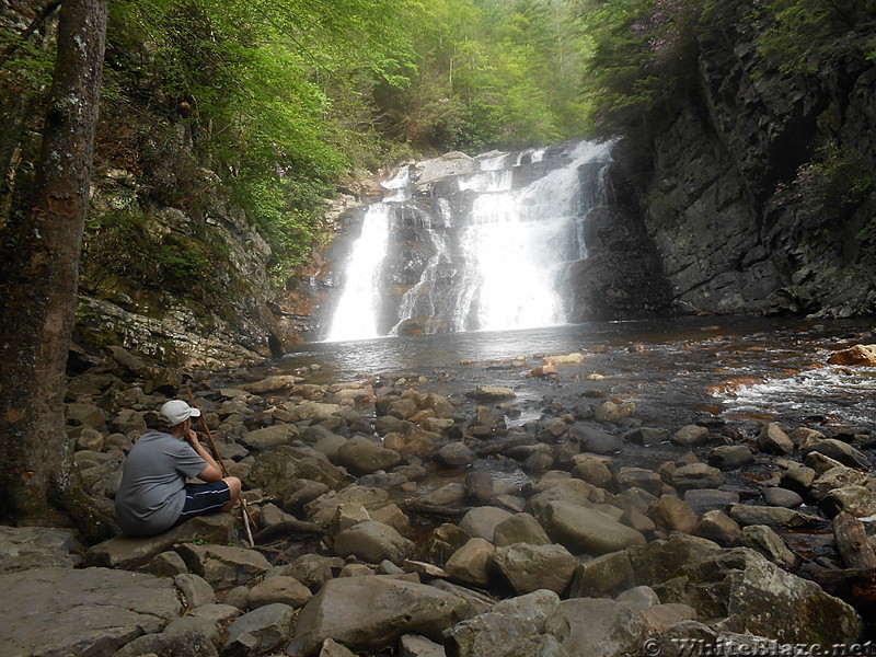 Laurel Falls - May 2014