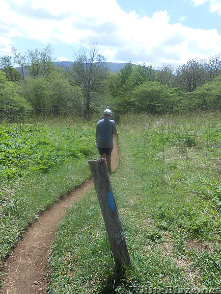 Overmountain Shelter - May 2014