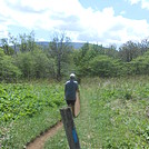 Overmountain Shelter - May 2014