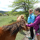 Grayson Highlands - May 2014