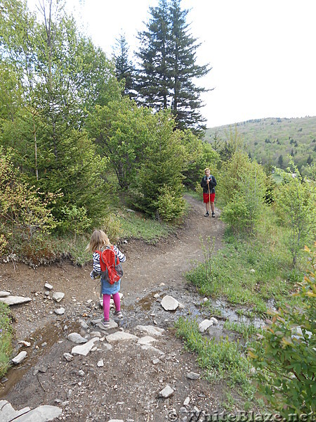 Grayson Highlands - May 2014