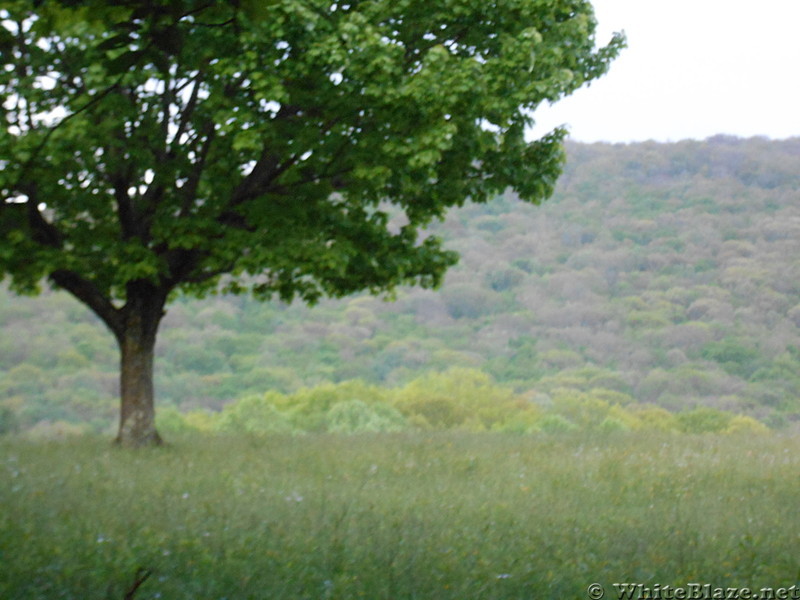 Damascus, VA - May 2014