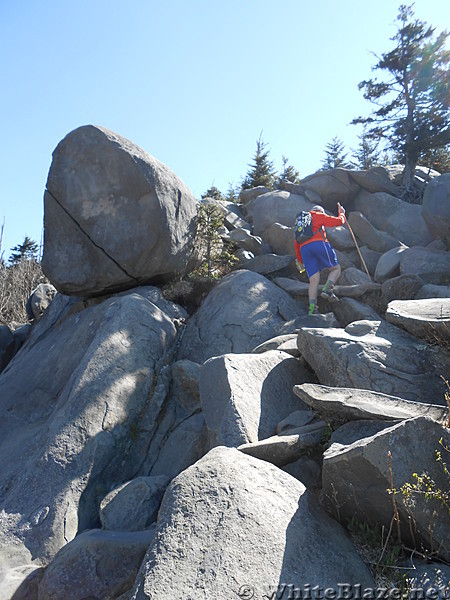 GSMNP - May 2014