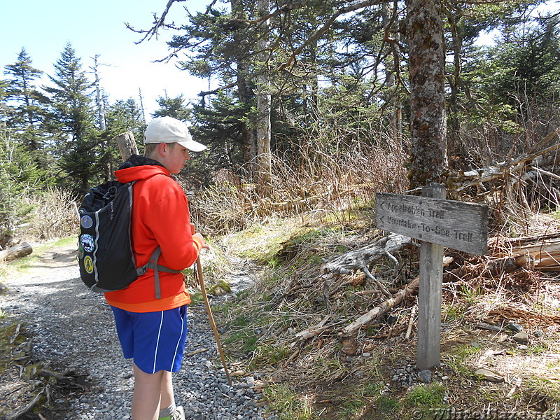 GSMNP - May 2014