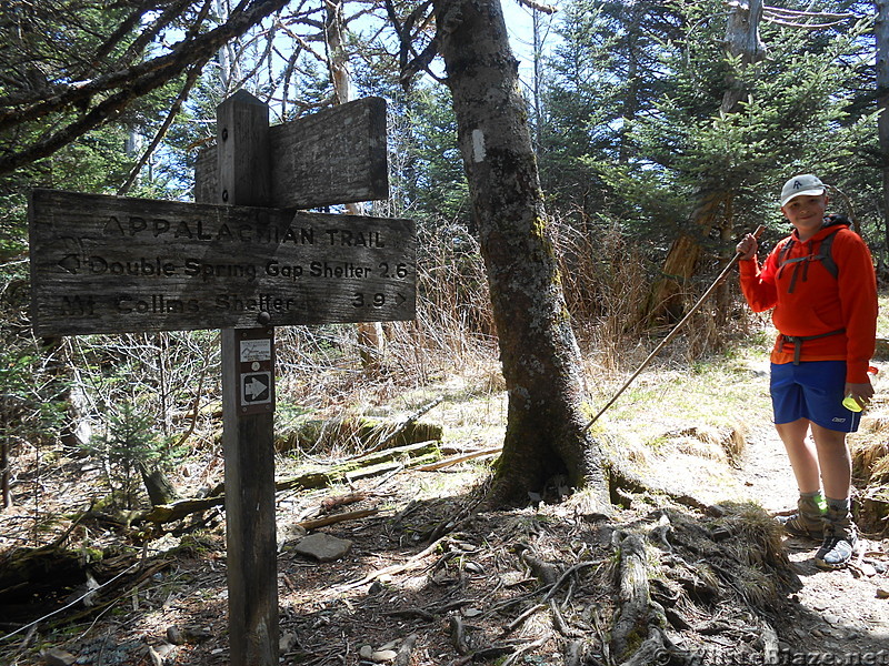 GSMNP - May 2014