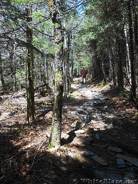 GSMNP - May 2014