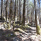 GSMNP - May 2014 by Teacher & Snacktime in Trail & Blazes in North Carolina & Tennessee