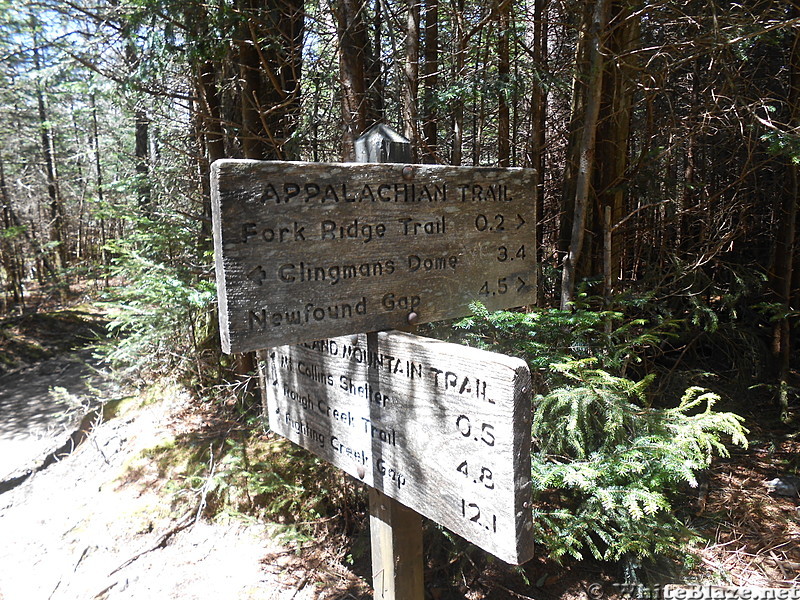 GSMNP - May 2014