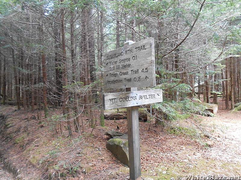 GSMNP - May 2014