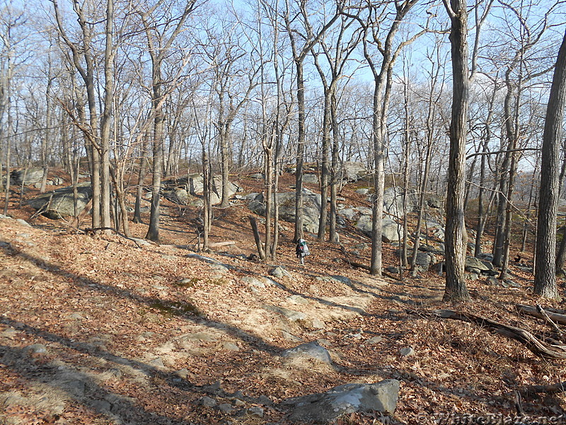 Harriman Winter Hike Jan 2014