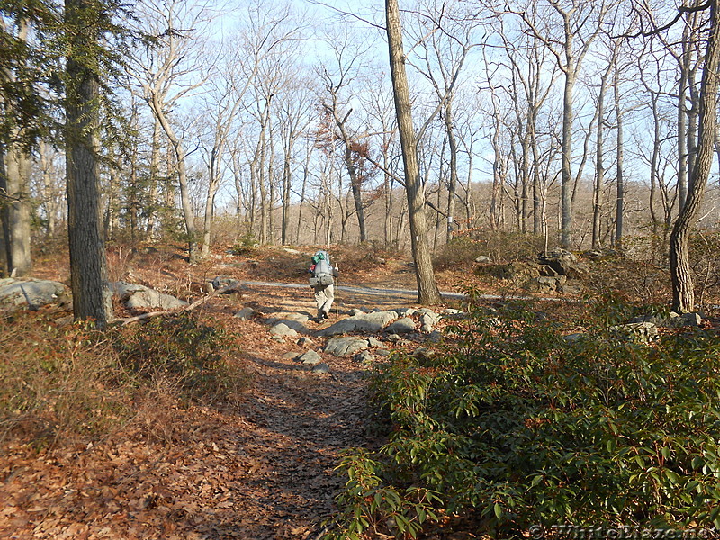 Harriman Winter Hike Jan 2014