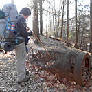 Harriman Winter Hike Jan 2014 by Teacher & Snacktime in Trail & Blazes in New Jersey & New York