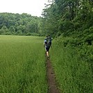 CT AT - River Rd to Silver Hill  May 2017 by Teacher & Snacktime in Trail & Blazes in Connecticut