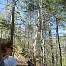 James River WB Hike - April 2014 by Teacher & Snacktime in Faces of WhiteBlaze members