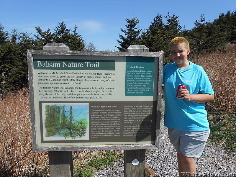 Mt. Mitchell - May 2014