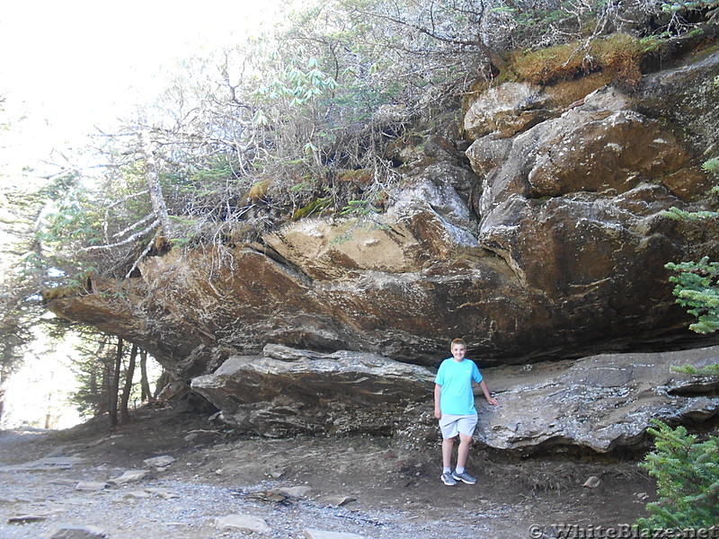 Mt. Mitchell - May 2014