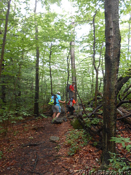 Upper Goose Pond Cabin - August 2014