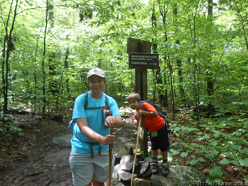 Upper Goose Pond Cabin - August 2014