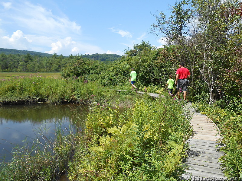 Tyringham Cobble - August 2014