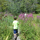 Tyringham Cobble - August 2014 by Teacher & Snacktime in Trail and Blazes in Massachusetts