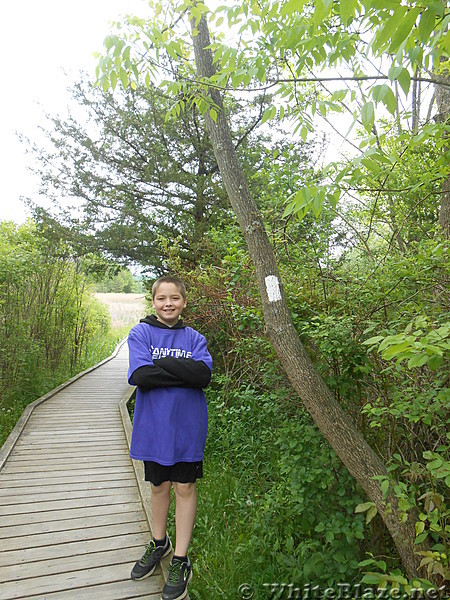 Pochuck Boardwalk - May 2016