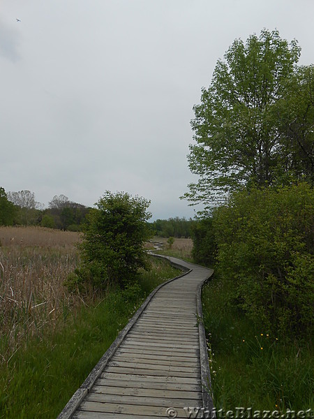 Pochuck Boardwalk - May 2016