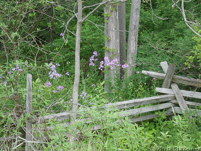 Pochuck Boardwalk - May 2016