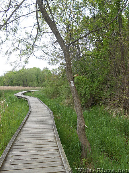 Pochuck Boardwalk - May 2016