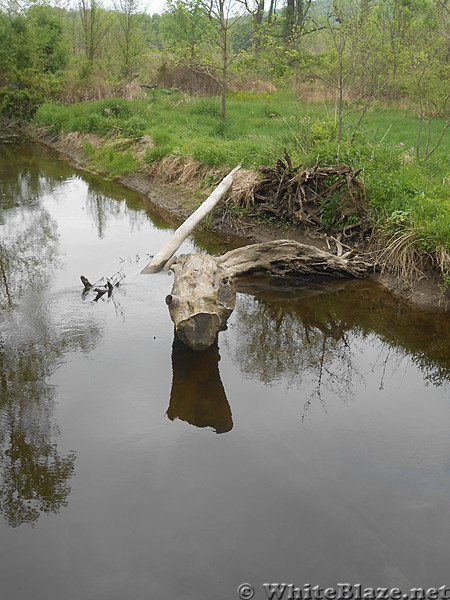 Pochuck Boardwalk - May 2016