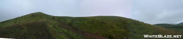 Max Patch Panorama