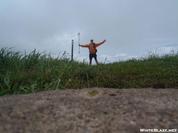 On Max Patch