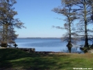 Reelfoot Lake