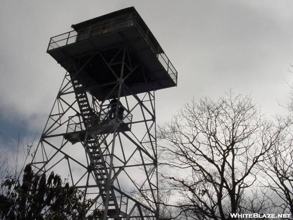 Alberts Mountain firetower