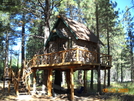 Tree House At Heitmans