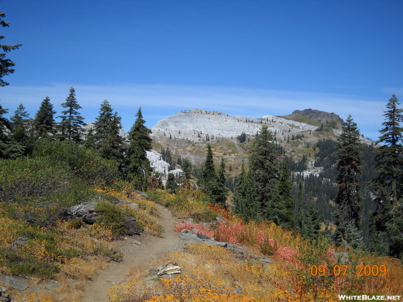 Marble Mountain Wilderness Vista