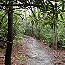 Hiking between Springer and Gooch Gap by SOLcreature in Trail & Blazes in Georgia