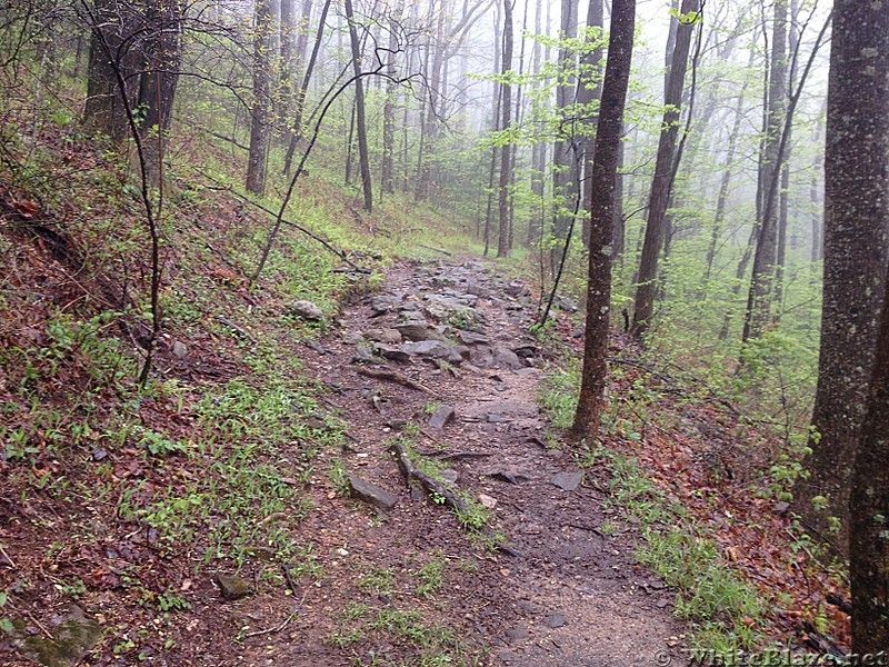 Hiking between Springer and Gooch Gap