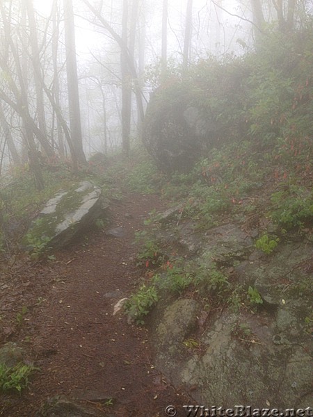 Hiking between Springer and Gooch Gap