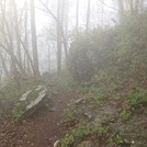 Hiking between Springer and Gooch Gap by SOLcreature in Trail & Blazes in Georgia