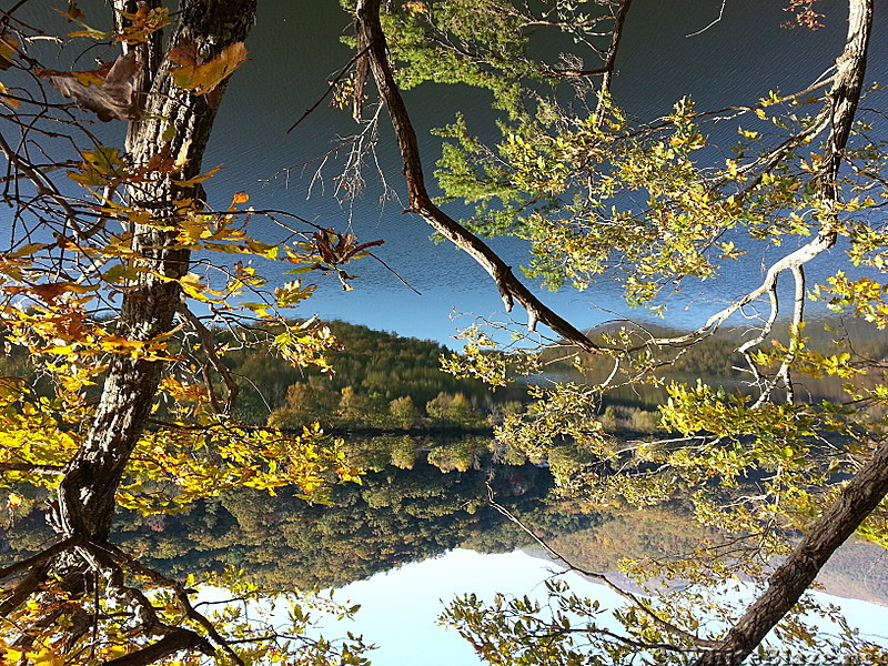 Hiking trip in Virginia