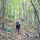 Hiking Trip in Virginia by StumpfromGeorgia in Views in Virginia & West Virginia