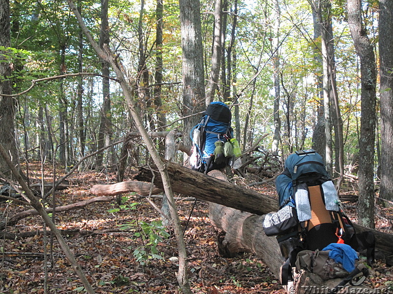 Hiking trip in Virginia