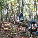 Hiking trip in Virginia by StumpfromGeorgia in Views in Virginia & West Virginia