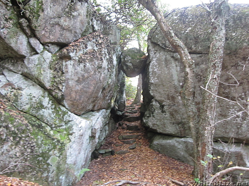 Hiking Trip in Virginia